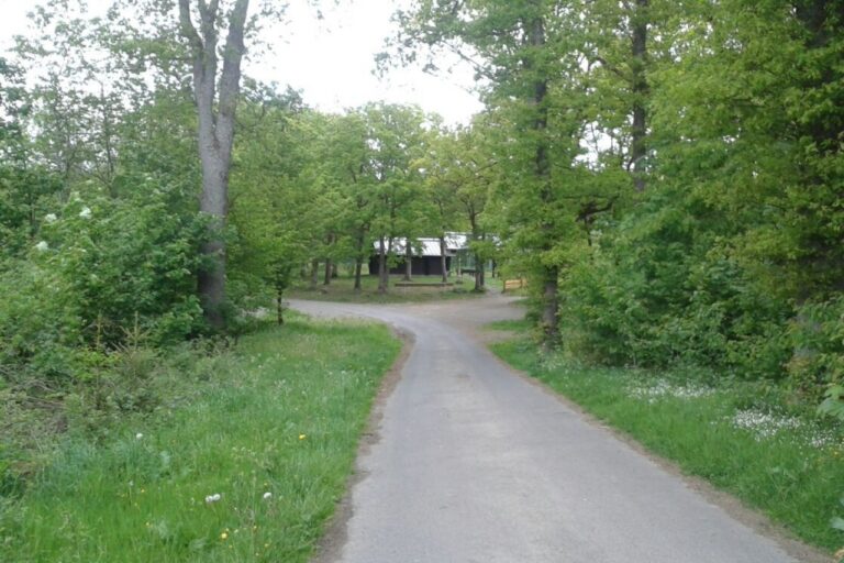 website bilder 3